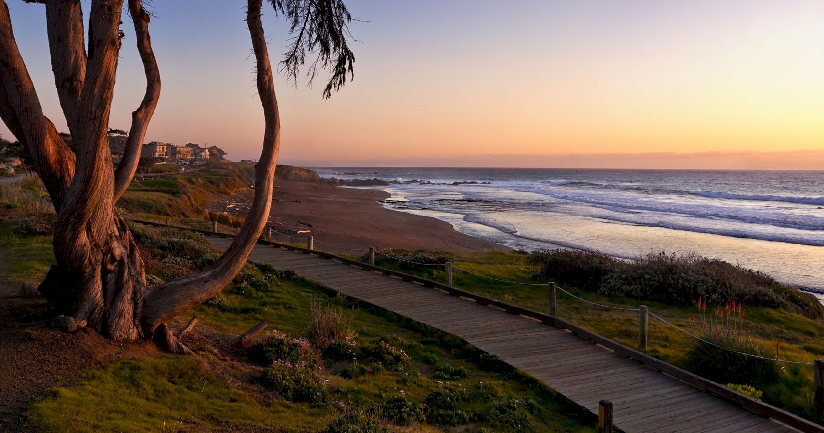 A coastal sunset scene with a wooden boardwalk, windswept trees, grassy dunes, and calm waves along the shoreline at dusk. Top it at 140 characters, always ending the sentence.