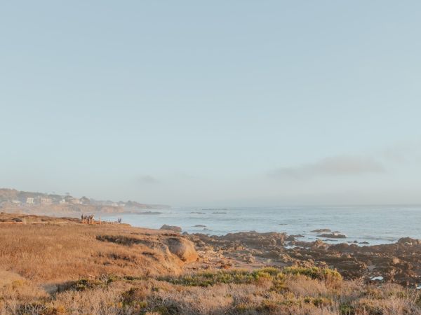 A coastal landscape with rocky, scrubby foreground and a calm sea meeting a clear sky; warm sunlight washes the scene.