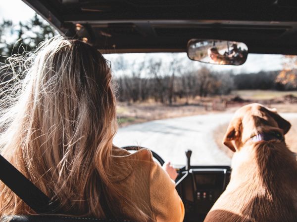 A person with long blonde hair sits in a vehicle beside a brown dog, both looking ahead on a rural road with fall colors.