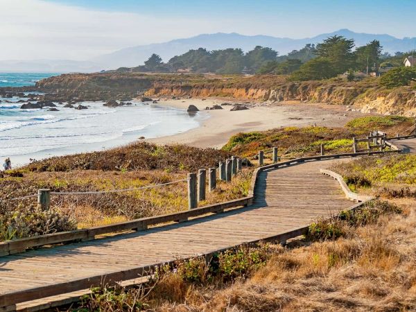 A sunny coastal boardwalk winds along a sandy beach with dry grass, rocky shore, and distant hills under a clear blue sky.