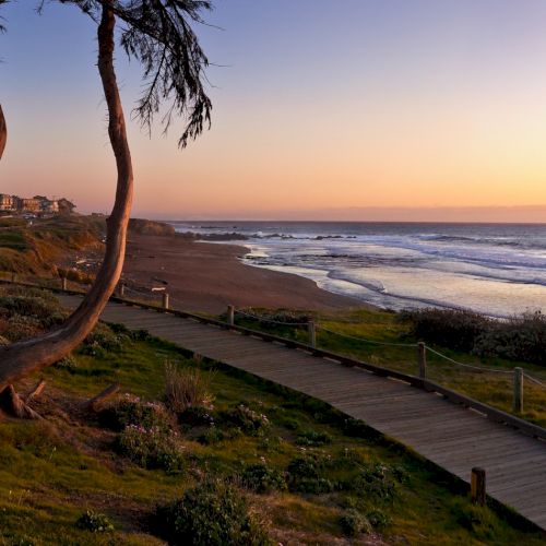 A tranquil coastal scene at dusk: palm-lined shore, calm waves, warm sunset glow, and a serene horizon.