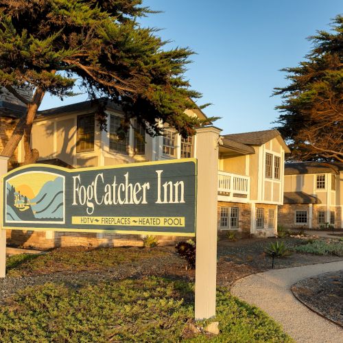 This image shows a sunny street scene with a gate and palm trees, a house on the left, and a clear blue sky, capturing a warm suburban vibe.