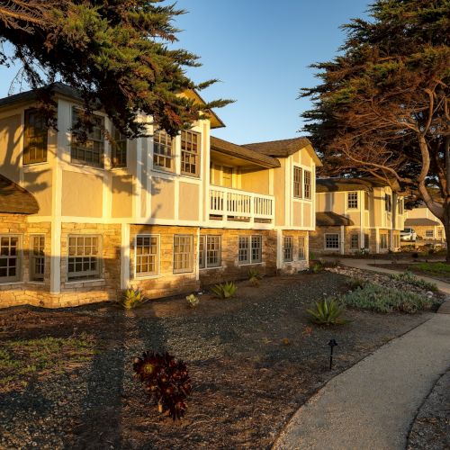 A row of yellow houses along a street with a sidewalk and trees; the sun casts long shadows, creating a warm, residential scene.