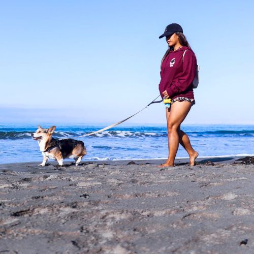 A person walks a dog on a sandy beach by the ocean, wearing a hat and maroon sweater, with a clear blue sky above. ending.