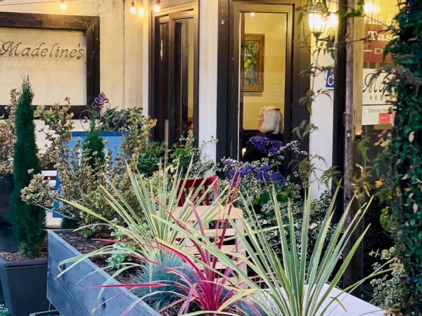Cozy outdoor seating area with potted plants and planters, string lights, and a chic storefront named "Madeleines" in the background.